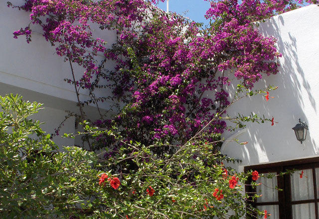 Mykonos Town Marianna Hotel מראה חיצוני תמונה